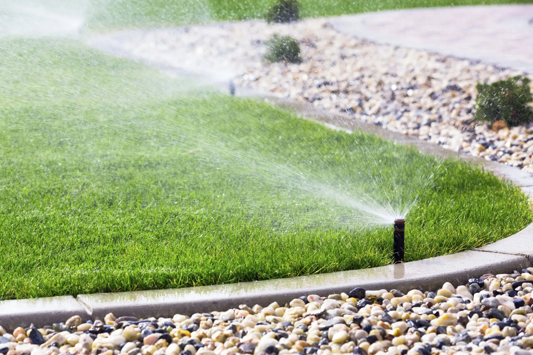 Automatic sprinkler watering a lush green lawn bordered by stones.