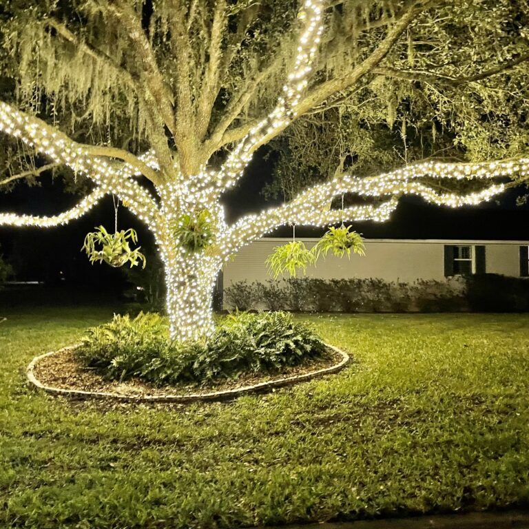 Tree wrapped in bright white string lights at night.